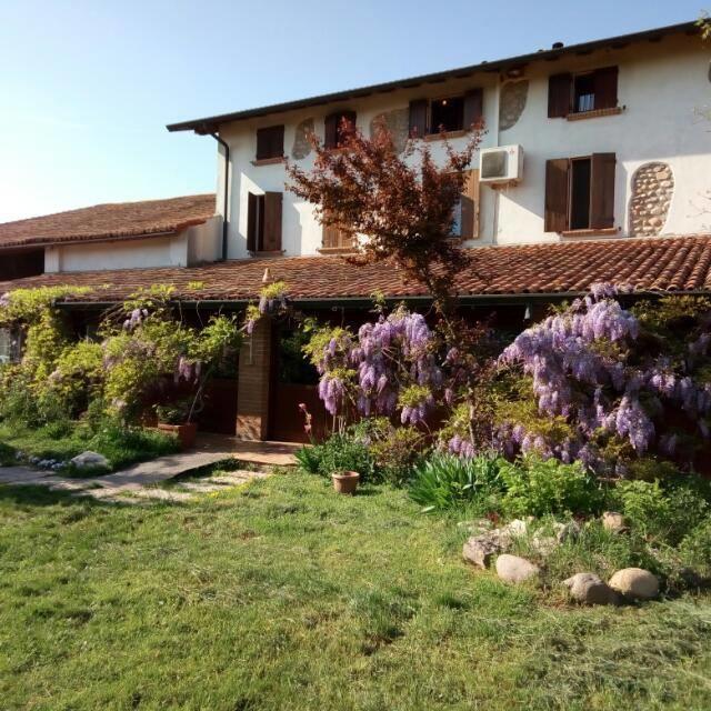 Agriturismo La Pace Βίλα Valeggio sul Mincio Εξωτερικό φωτογραφία