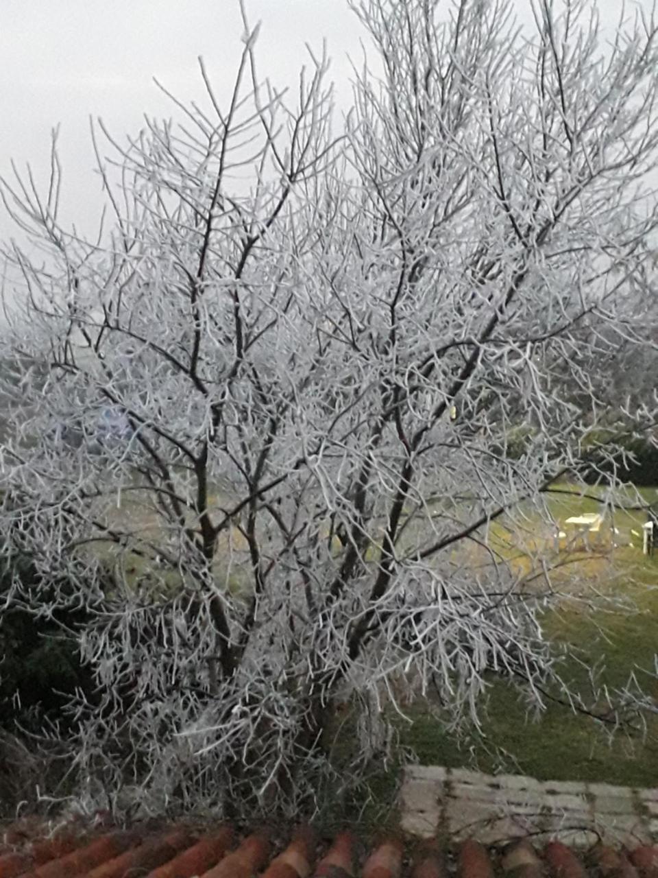 Agriturismo La Pace Βίλα Valeggio sul Mincio Εξωτερικό φωτογραφία